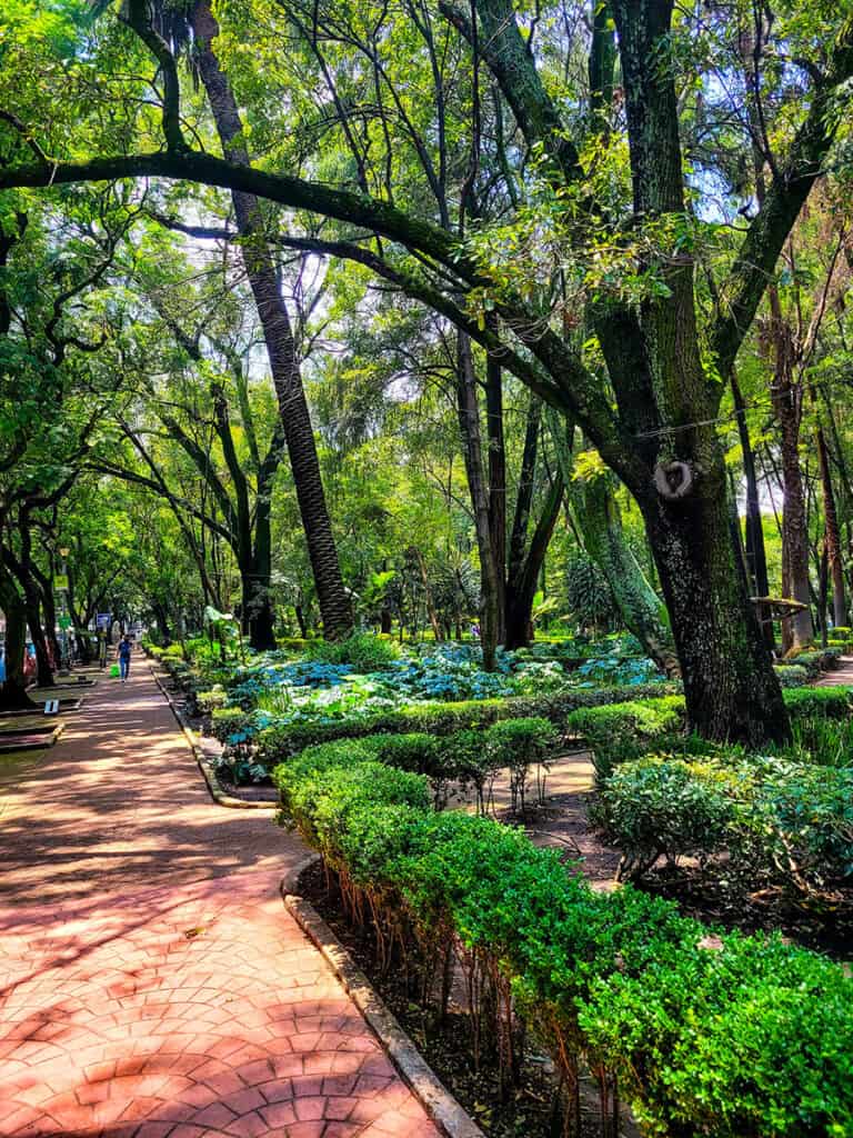 Mexico City is beautiful and safe for solo female travellers to walk around including well lit green spaces.