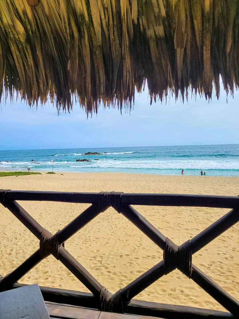 Pez Gallo offers incredible beachfront views and excellent WiFi. This is a perfect place to park yourself for a delicious lunch or even work.