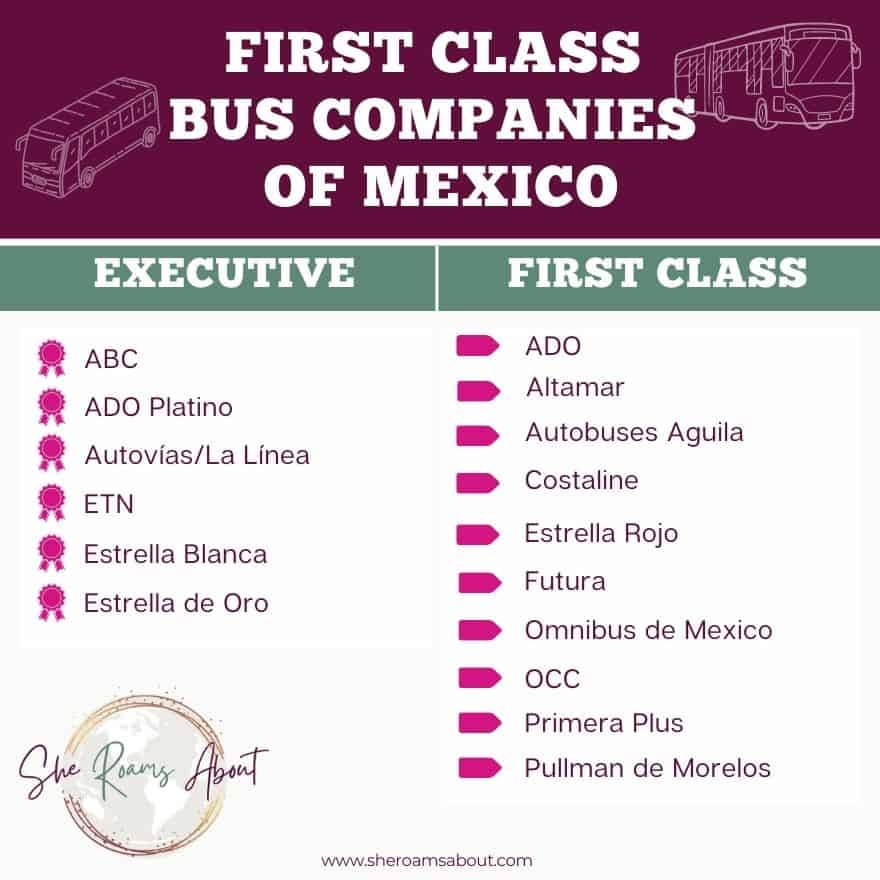 There are several first class bus companies in Mexico but in my opinion the best options are ETN and ADO.