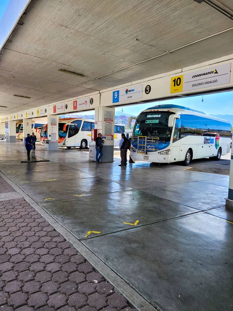 When taking the bus in Mexico, find your bus platform first.