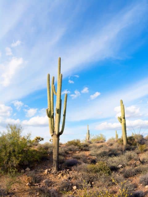 There are 139 hot springs in the San Miguel de Allende area and only a handful can be visited.