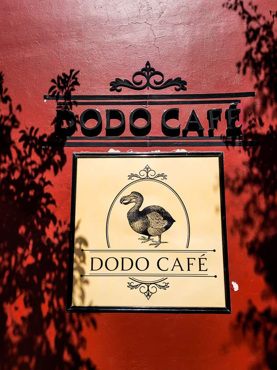 Dodo Cafe has the best cocktails in the city with world-class mixologists in house daily.