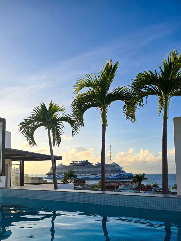 A view of a cruise ship in the Cozumel ferry terminal from a rooftop pool framed by palm trees.